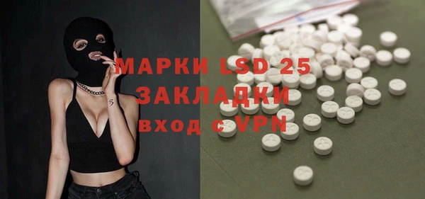 молекула духа Кулебаки