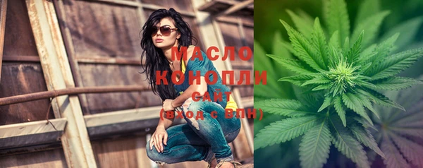 молекула духа Кулебаки