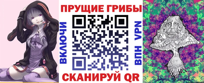 маркетплейс клад  Кувшиново  hydra ссылка  Галлюциногенные грибы Magic Shrooms  закладки 