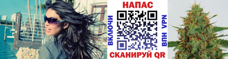 МАРИХУАНА ГИДРОПОН  наркошоп  Кувшиново 